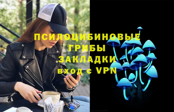 ALPHA PVP Ростов