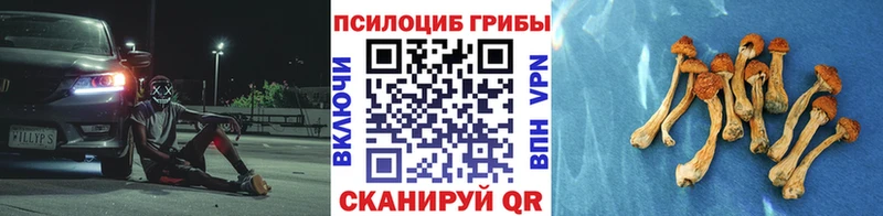 Галлюциногенные грибы ЛСД мега зеркало Зубцов